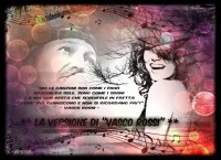 /album/galleria-fotografica/a2286-jpg/